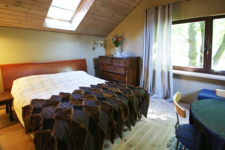 Guest House Darius Ir Girenas Palanga Room photo